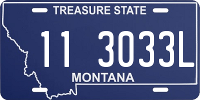 MT license plate 113033L