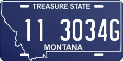 MT license plate 113034G