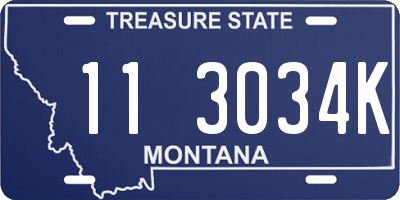 MT license plate 113034K