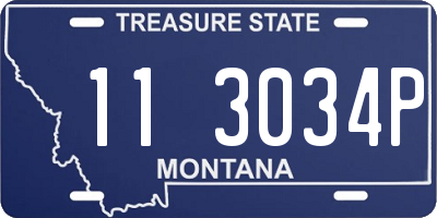 MT license plate 113034P