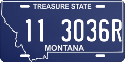 MT license plate 113036R