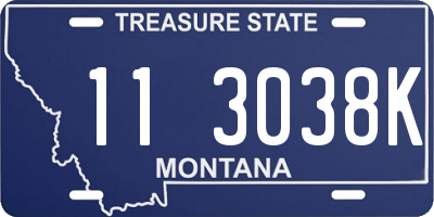 MT license plate 113038K