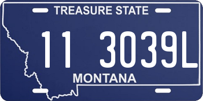 MT license plate 113039L