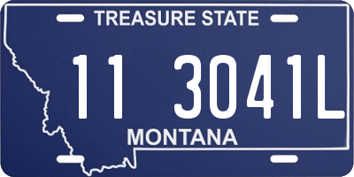 MT license plate 113041L