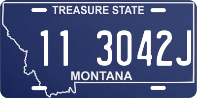 MT license plate 113042J