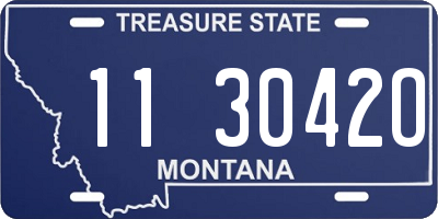 MT license plate 113042O