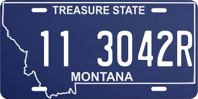 MT license plate 113042R