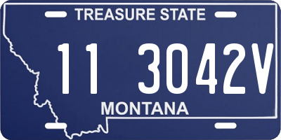 MT license plate 113042V