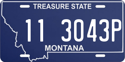 MT license plate 113043P