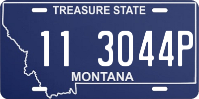 MT license plate 113044P