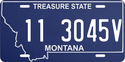 MT license plate 113045V