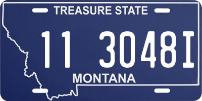 MT license plate 113048I