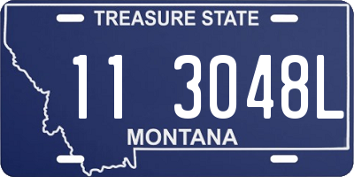 MT license plate 113048L