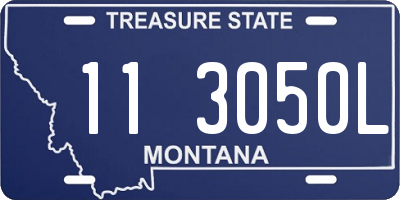 MT license plate 113050L