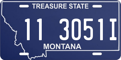 MT license plate 113051I