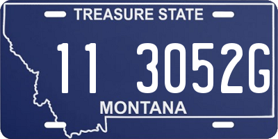 MT license plate 113052G