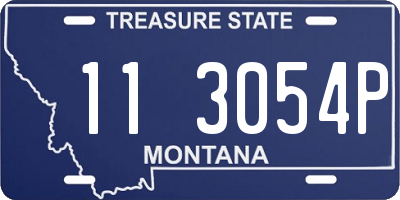MT license plate 113054P