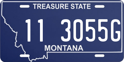 MT license plate 113055G