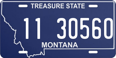MT license plate 113056O