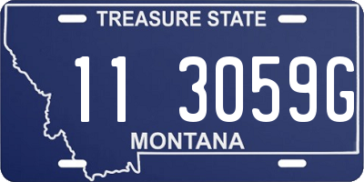 MT license plate 113059G