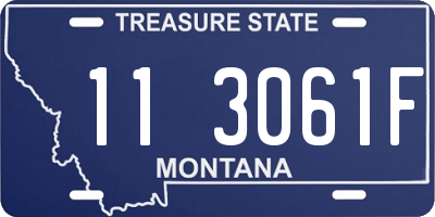 MT license plate 113061F
