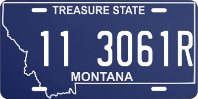 MT license plate 113061R