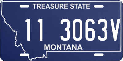 MT license plate 113063V
