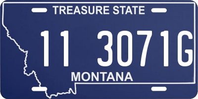 MT license plate 113071G