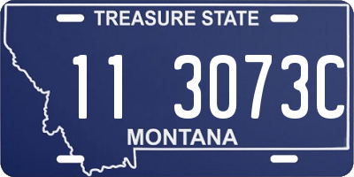 MT license plate 113073C