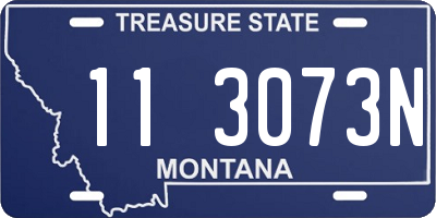 MT license plate 113073N