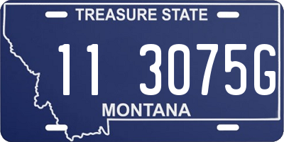 MT license plate 113075G