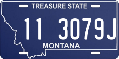 MT license plate 113079J