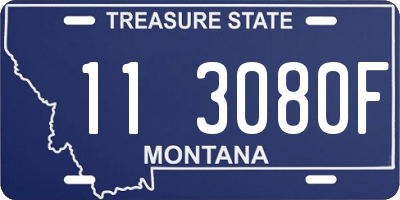 MT license plate 113080F