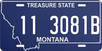 MT license plate 113081B