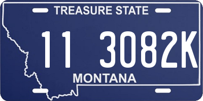 MT license plate 113082K