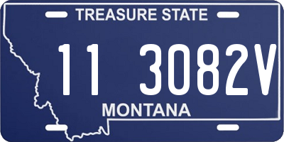 MT license plate 113082V