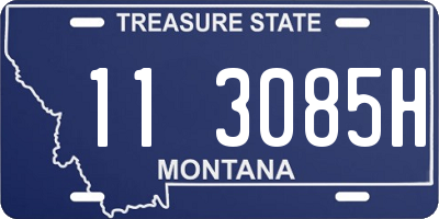 MT license plate 113085H