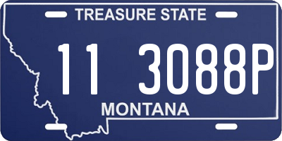 MT license plate 113088P