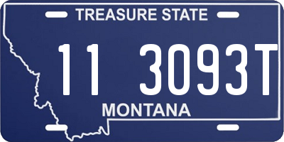 MT license plate 113093T