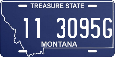 MT license plate 113095G