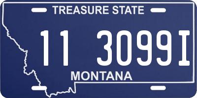 MT license plate 113099I
