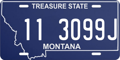 MT license plate 113099J
