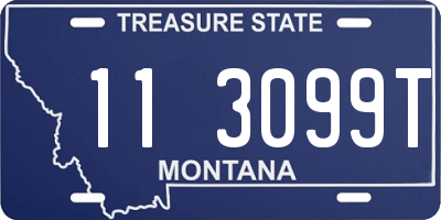 MT license plate 113099T