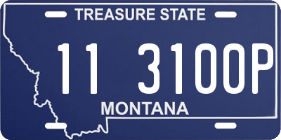 MT license plate 113100P