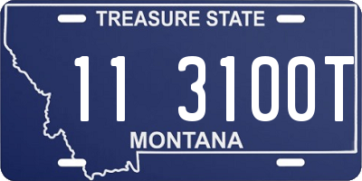 MT license plate 113100T