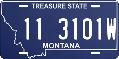 MT license plate 113101W
