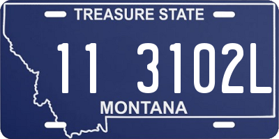 MT license plate 113102L