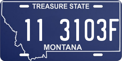 MT license plate 113103F