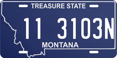 MT license plate 113103N