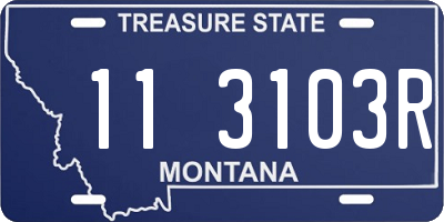 MT license plate 113103R